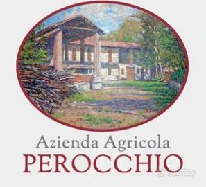 Vini D.O.C. e D.O.C.G di produzione propria