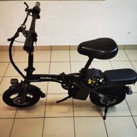 bicicletta elettrica