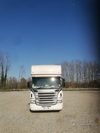 Scania trasporto cavalli