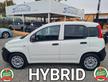 Fiat Panda 1.0 Hybrid*AUTOCARRO 2 POSTI*TAGLIANDI*