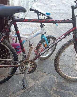 Mountain bike 