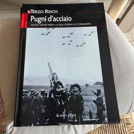 Pugni d'acciaio 