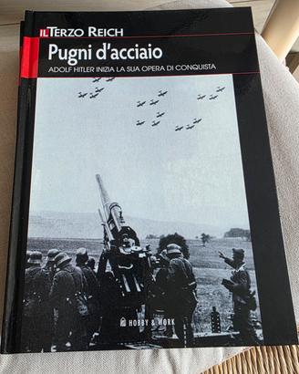Pugni d'acciaio 