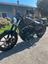 Harley Davidson 883 Iron