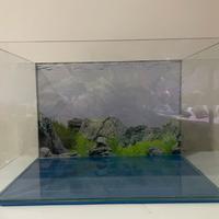 Acquario amtra 40 litri