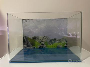 Acquario amtra 40 litri