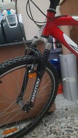 Bicicletta Mountain Bike marca Mass, modello Lupo