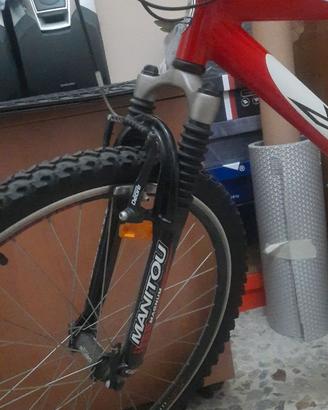 Bicicletta Mountain Bike marca Mass, modello Lupo