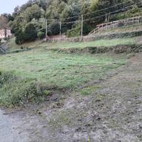 Terreno Ponte Savignone