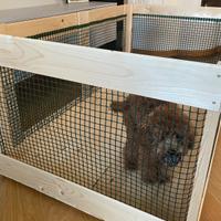 Box per cane da interno