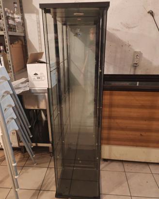 vetrine detolf