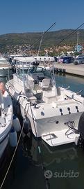  fisherman proline 251