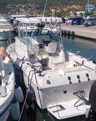  fisherman proline 251