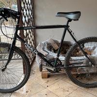 Mountain bike uomo