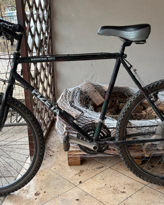 Mountain bike uomo