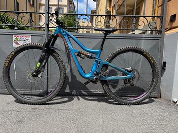 Ibis Ripmo 29