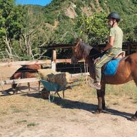 Cavallo tolfetano e puledri