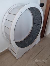 Tapis Roulant per gatti