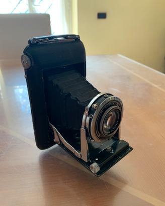 Kodak Regent 6x9 - Shneider Xenar 105mm - Compur