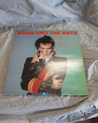 LP vinile Adam and the ant - prince charming