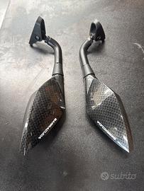 Specchietti barracuda