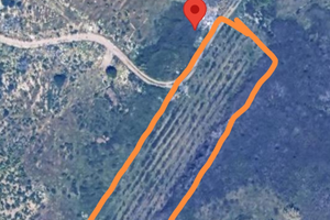 Terreno agricolo a Sibiliana