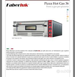 Forno pizza gas professionale