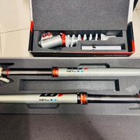 Forcelle WP XACT PRO 7548+Mono WP XACT PRO 8950