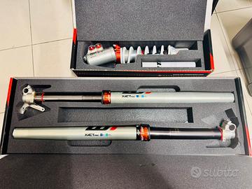 Forcelle WP XACT PRO 7548+Mono WP XACT PRO 8950