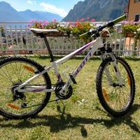 Mountain bike Scott 24