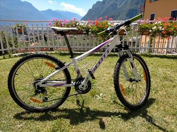 Mountain bike Scott 24