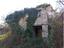 Immagine 6