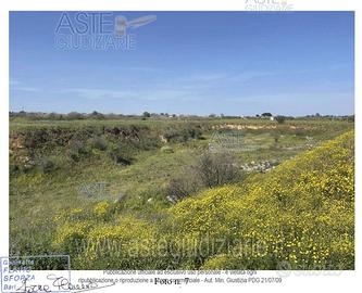 Terreno Agricolo Mola di Bari [A4294261]