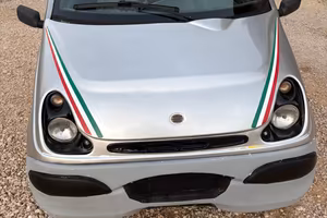 Microcar Italcar Tasso Bingo