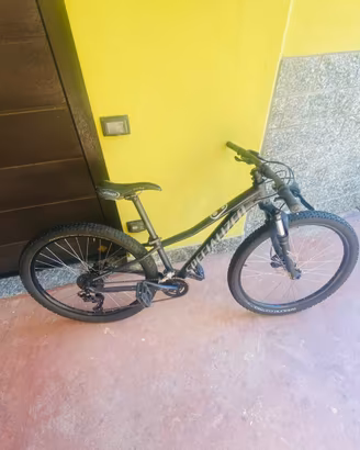Specialized rockhopper