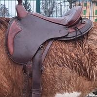 Sella da trekking con pomo