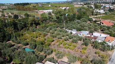 Terreno Edificabile - Miglianico
