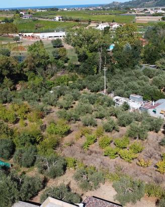Terreno Edificabile - Miglianico