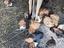 Immagine 4