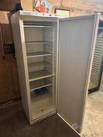 Congelatore professionale
