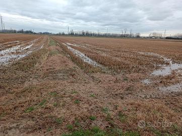 RGE 278/2023 Trib Pavia - LOTTO 3