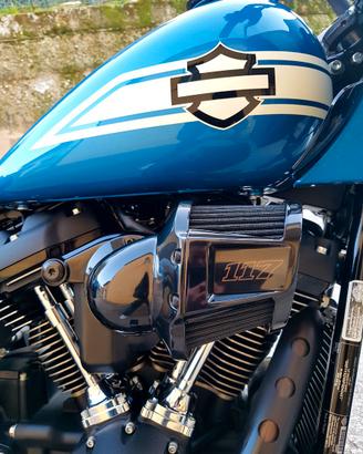 Harley Davidson Fast johnnie