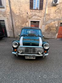 Mini 1993