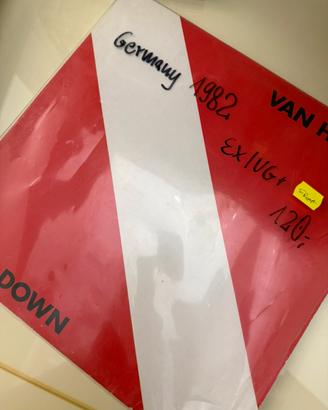 Lotto 2 vinili LP: Miles davis and Van halen