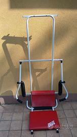 Minipalestra domestica