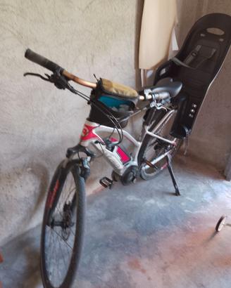 Bicicletta elettrica