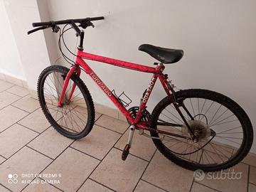 Mountain bike, Torpado