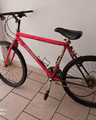 Mountain bike, Torpado