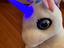 Immagine 4