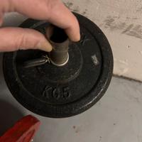 BiIanceri+ pesi per fitness